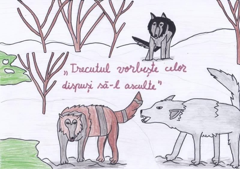 Stepanescu Ianas