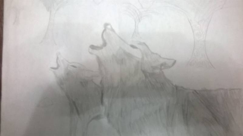Deaconescu Romulus-Adrian